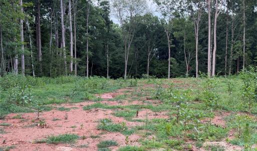 Photo #10 of 8251 Addison, Harrisburg, NC