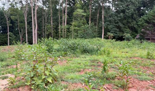 Photo #9 of 8251 Addison, Harrisburg, NC