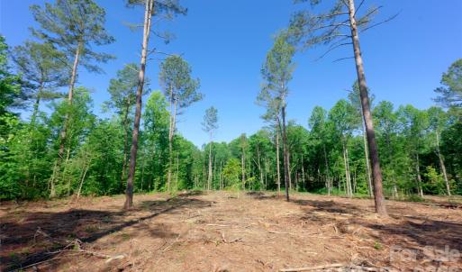 Photo #7 of Carson, Cleveland, NC