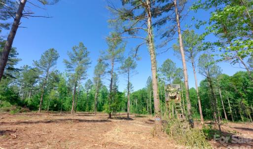 Photo #8 of Carson, Cleveland, NC