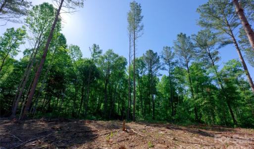 Photo #6 of Carson, Cleveland, NC