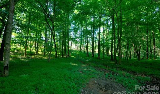 Photo #5 of Carson, Cleveland, NC