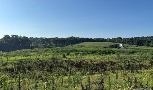 Photo #4 of 1611 Olive Branch, Polkton, NC