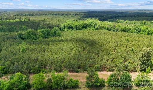 Photo #13 of Cool Branch, Carlisle, SC