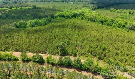Photo #14 of Cool Branch, Carlisle, SC