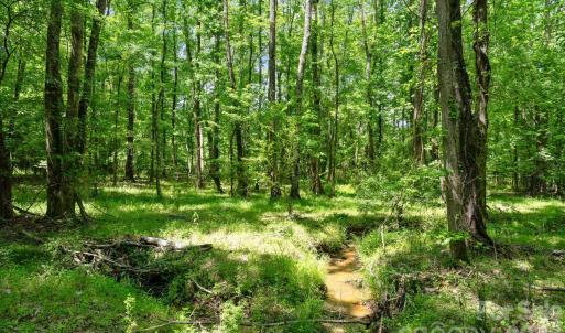 Photo #38 of Cool Branch, Carlisle, SC