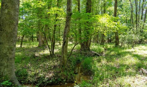 Photo #31 of Cool Branch, Carlisle, SC