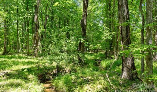 Photo #34 of Cool Branch, Carlisle, SC
