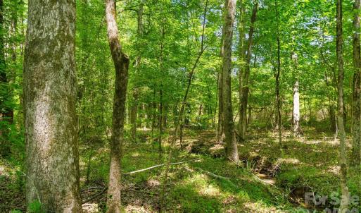 Photo #23 of Cool Branch, Carlisle, SC