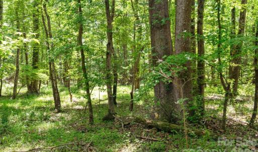 Photo #27 of Cool Branch, Carlisle, SC