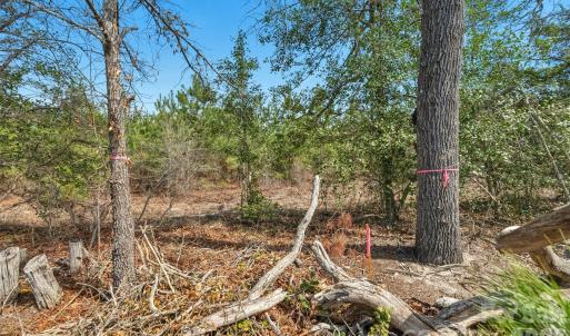Photo #20 of 931 Charlie Johnson, Kershaw, SC