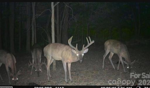 Photo #18 of 3888 Heathcliff, Concord, NC