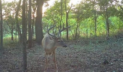 Photo #19 of 3888 Heathcliff, Concord, NC