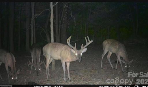 Photo #17 of 3888 Heathcliff, Concord, NC