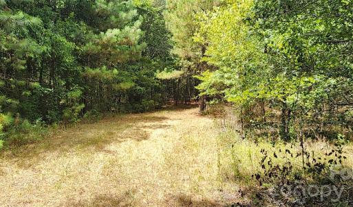 Photo #34 of 2597 Phil Grant, Rock Hill, SC
