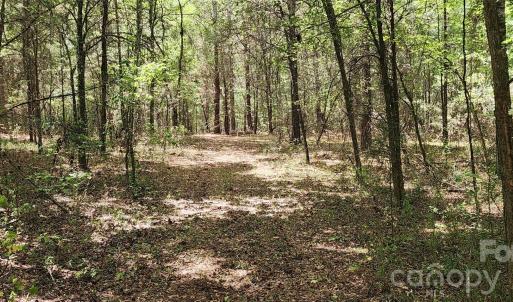 Photo #33 of 2597 Phil Grant, Rock Hill, SC