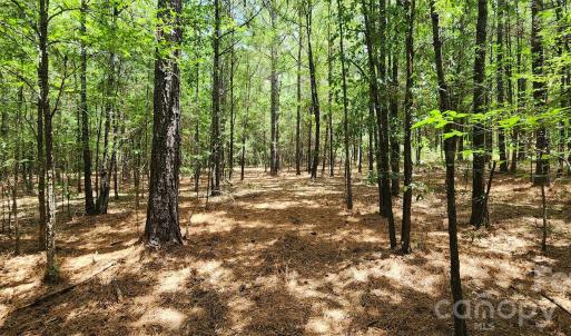 Photo #31 of 2597 Phil Grant, Rock Hill, SC