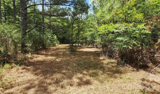 Photo #35 of 2597 Phil Grant, Rock Hill, SC