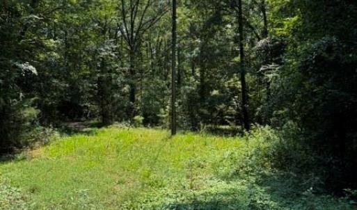 Photo #3 of 2999 Starnes, Rock Hill, SC