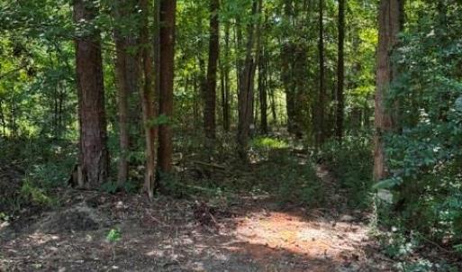 Photo #6 of 2999 Starnes, Rock Hill, SC