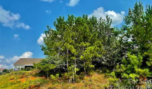 Photo #9 of 10288 Lakeshore, Lancaster, SC