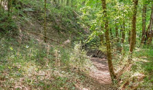 Photo #21 of Hwy 72, Carlisle, SC