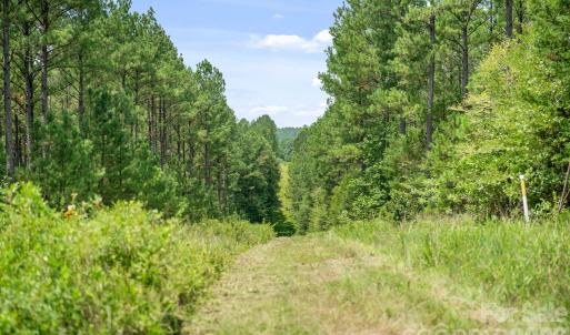Photo #3 of Hwy 72, Carlisle, SC