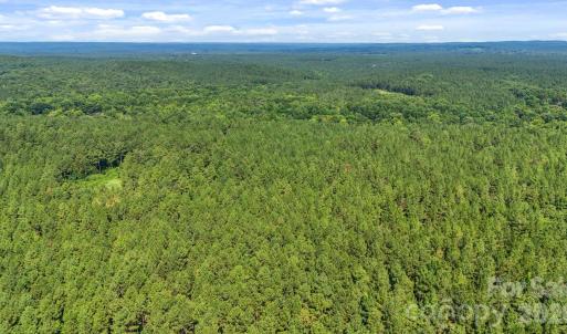 Photo #30 of Hwy 72, Carlisle, SC