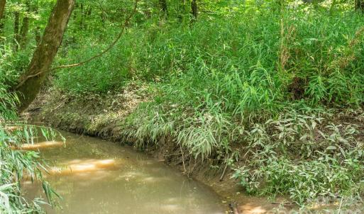 Photo #11 of Hwy 72, Carlisle, SC