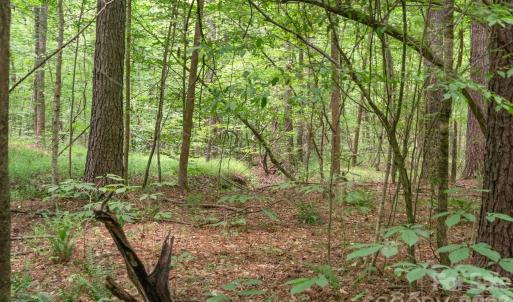 Photo #16 of Hwy 72, Carlisle, SC