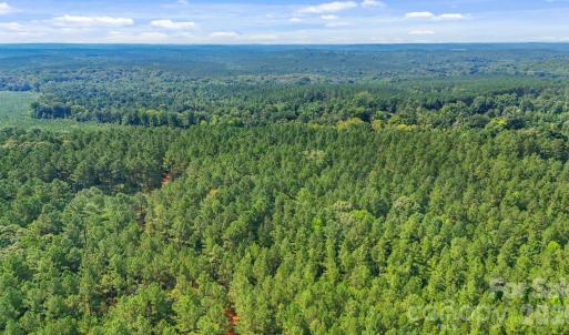 Photo #37 of Hwy 72, Carlisle, SC