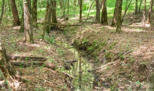 Photo #18 of Hwy 72, Carlisle, SC