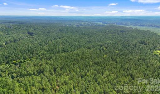 Photo #31 of Hwy 72, Carlisle, SC