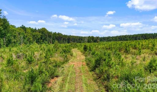 Photo #24 of Hwy 72, Carlisle, SC