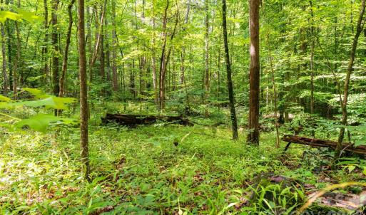 Photo #7 of 3312 McConnells, Sharon, SC