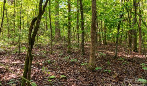 Photo #6 of 3312 McConnells, Sharon, SC