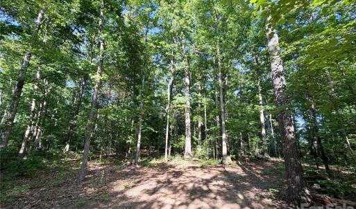 Photo #7 of 6244 Oakridge, Lake Wylie, SC