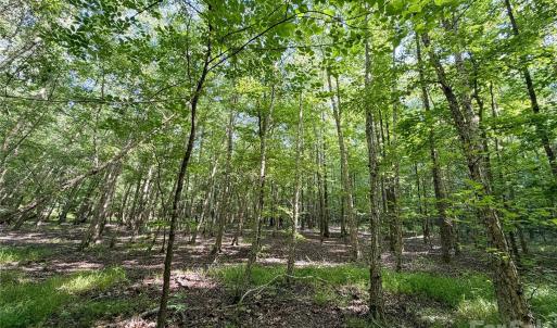 Photo #3 of 6244 Oakridge, Lake Wylie, SC