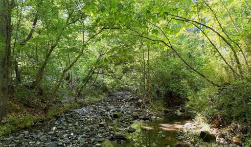 Photo #5 of 6244 Oakridge, Lake Wylie, SC