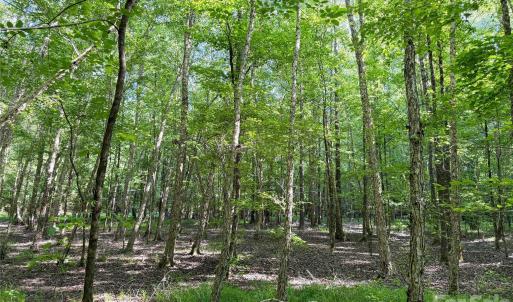 Photo #2 of 6244 Oakridge, Lake Wylie, SC