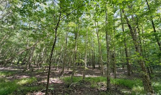 Photo #2 of 6244 Oakridge, Lake Wylie, SC