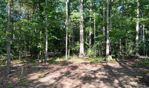 Photo #5 of 6244 Oakridge, Lake Wylie, SC