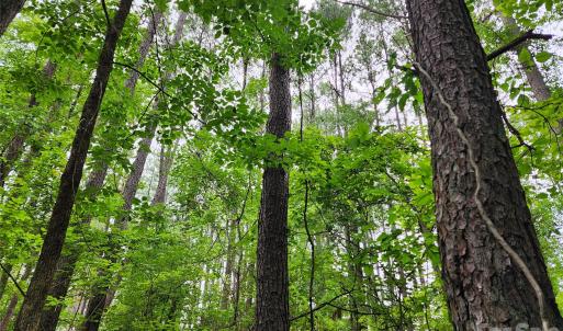Photo #6 of Grace Church, Salisbury, NC