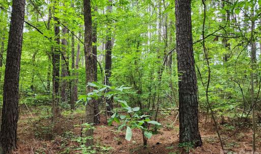 Photo #12 of Grace Church, Salisbury, NC
