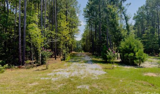 Photo #2 of 955 Cole Trestle, Blair, SC