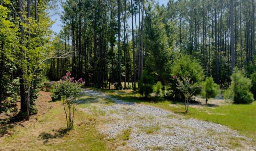 Photo #3 of 955 Cole Trestle, Blair, SC