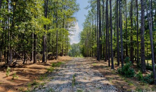 Photo #4 of 955 Cole Trestle, Blair, SC