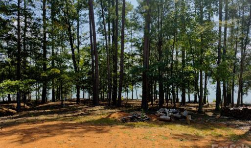 Photo #14 of 955 Cole Trestle, Blair, SC