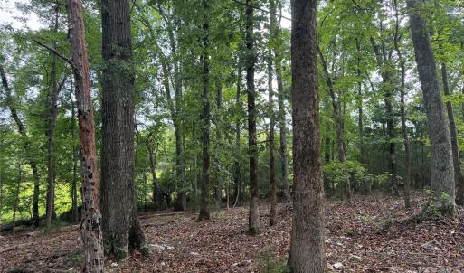Photo #17 of Chappell, McConnells, SC