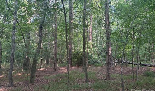 Photo #20 of Chappell, McConnells, SC